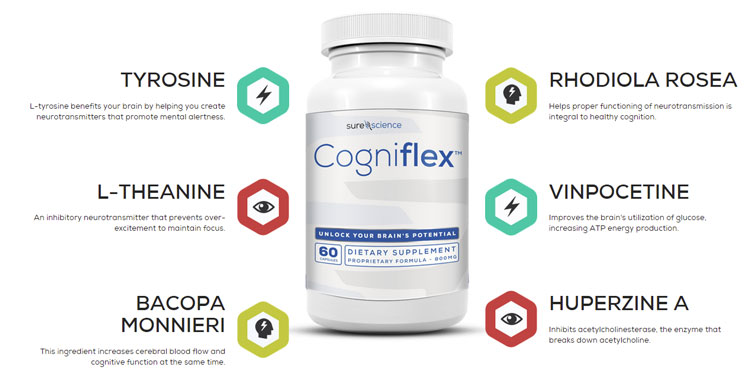 Cogniflex-Ingredients